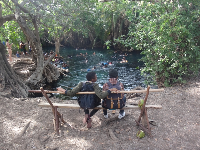      People swimming in a natural water body surrounded by trees.
  