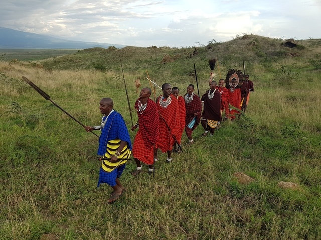 Line of Maasai men in traditional attire walking in a field.