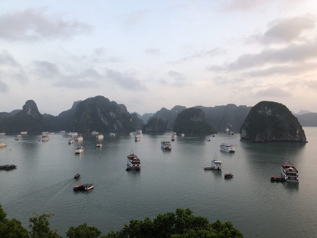Marine bay with numerous boats and karst formations.