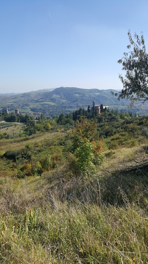 Scenic view of a hilltop with a castle surrounded by trees and mountains.