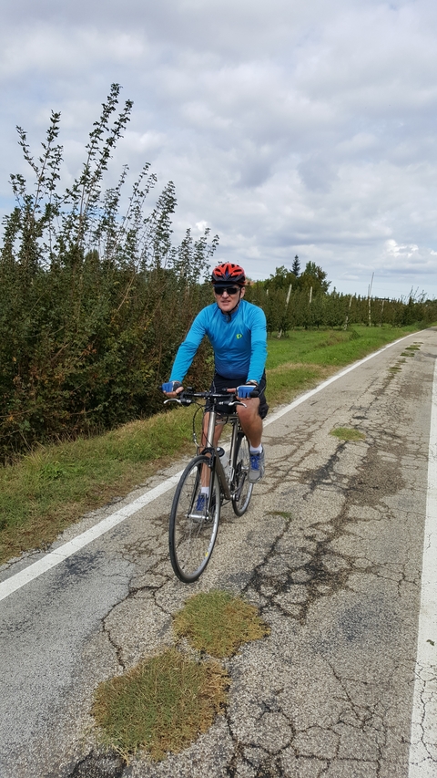 A person in cycling gear riding a bicycle on a rural road lined with trees.