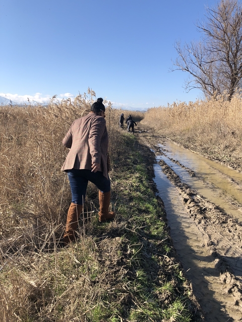 Person navigating a muddy path in a rural area.