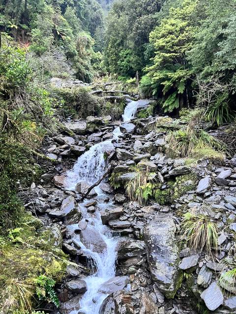       A waterfall cascading over rocks in a lush forest.
  