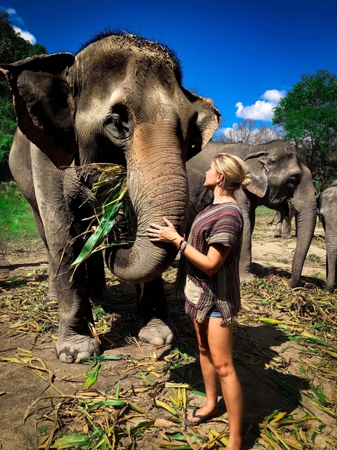 Woman interacting with elephants in a natural setting.