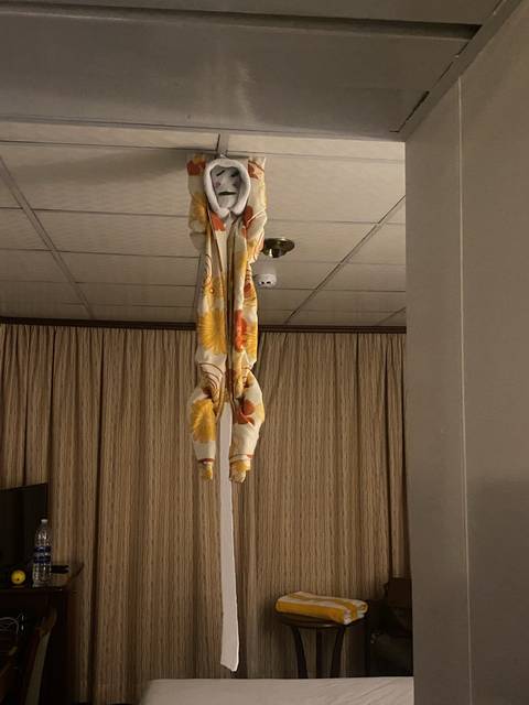 Towel folded into a shape, placed on a bed.