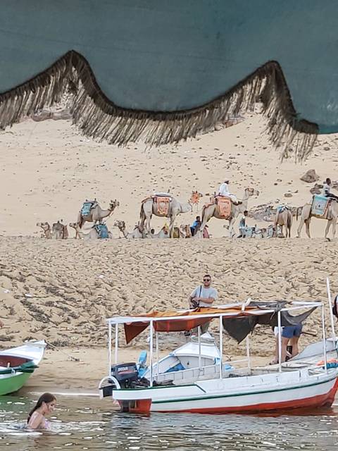 Camels on a desert beach with a person nearby a boat.