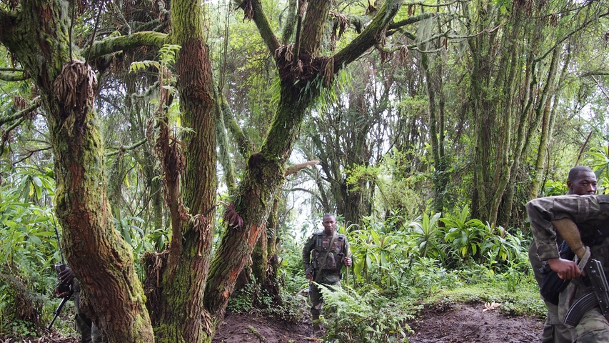       Forest with people and dense vegetation.
  