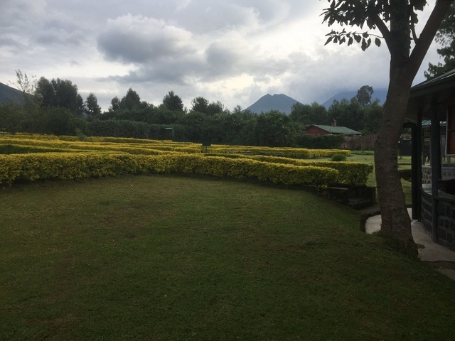       Mountainous landscape with neatly trimmed hedges.
  