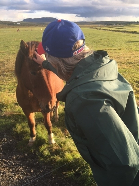 Klantbeoordelingsfoto van De ringweg van Ijsland 