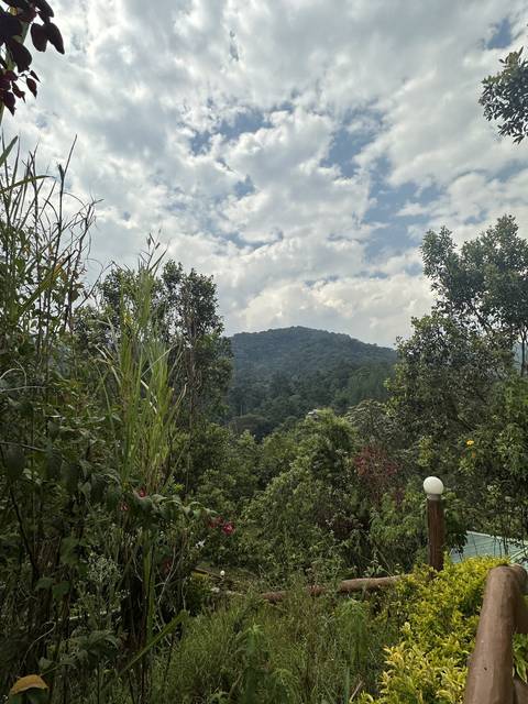       Verdant mountain landscape
  