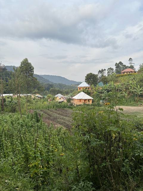       Scenic rural landscape with hills
  