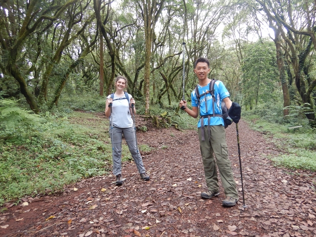       Two people hiking in a lush forest with backpacks.
  
