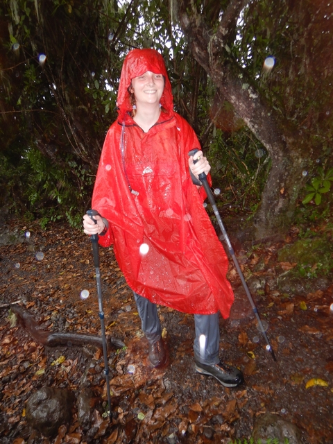       Person with trekking poles in a raincoat, hiking in the forest.
  