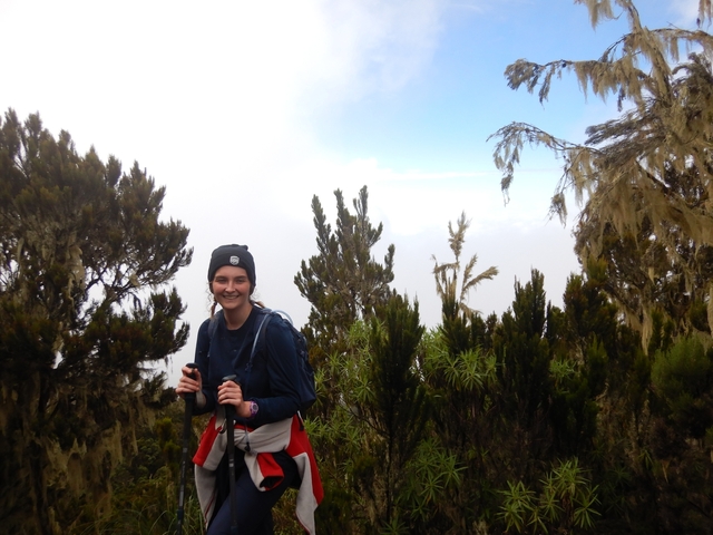       Solo hiker with a backpack in the forest.
  
