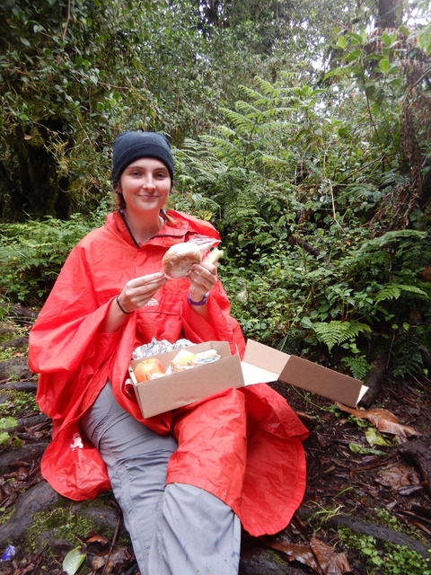       Person enjoying a picnic with a lunchbox in a forest setting.
  