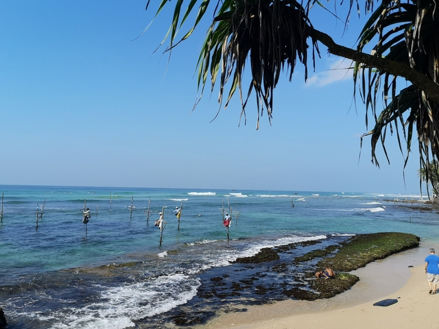       Fishermen on stilts in the ocean with a view of the beach.
  