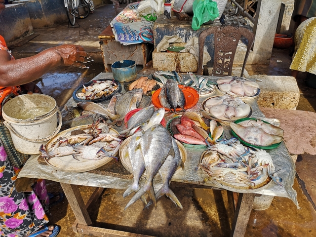       A table full of various fresh seafood at a market.
  