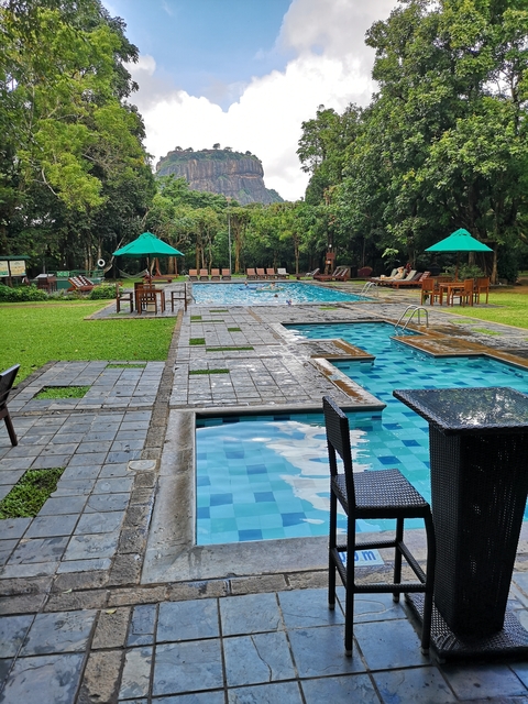       Resort swimming pool area with sun loungers and umbrellas.
  
