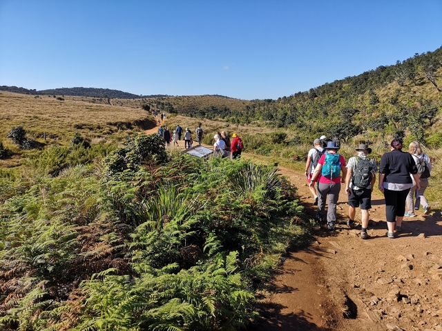       Group of hikers walking along a trail in a national park.
  