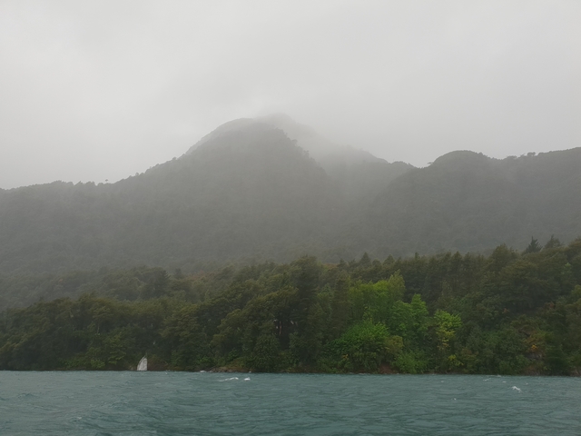       Foggy mountains and lush forested area.
  