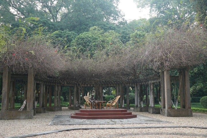Outdoor seating area under a pergola covered with plants.