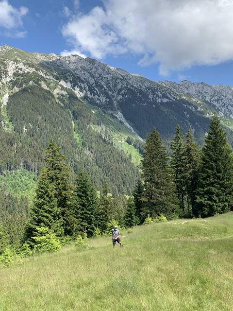 Person walking up a grassy hill with mountains and trees.