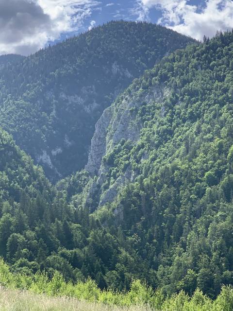       Forest with mountains partially covered by clouds.
  