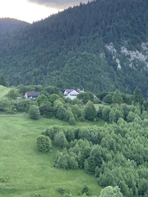       Forested area with cabins in the distance.
  