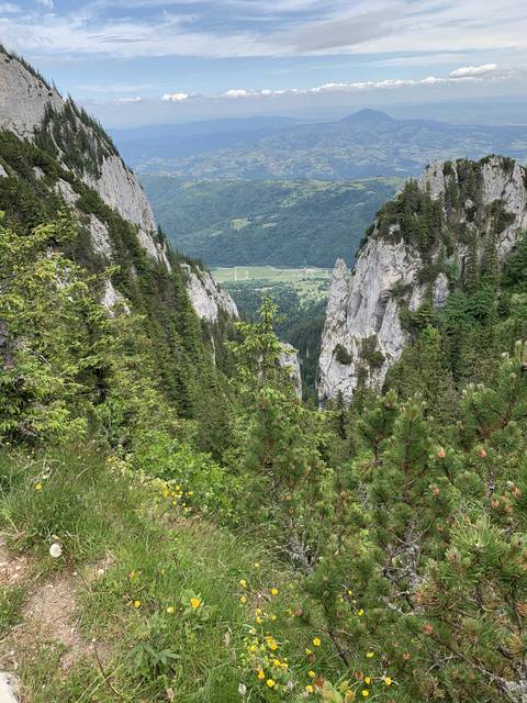 View of a valley with cliffs and forests.