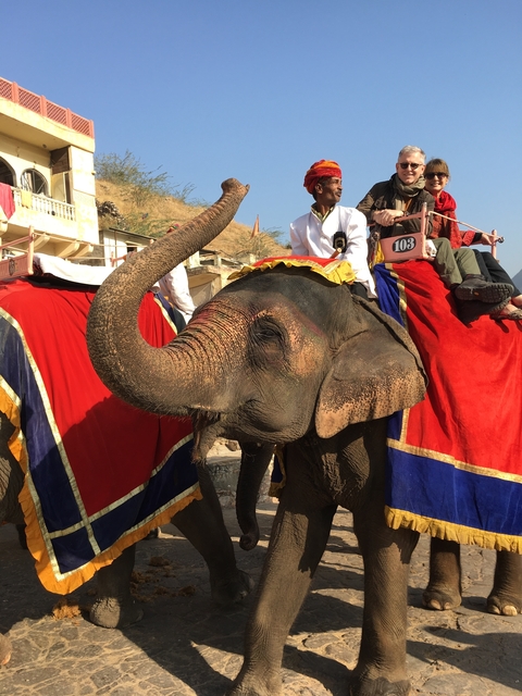       Elephant with people riding it, decorated with colorful blankets.
  