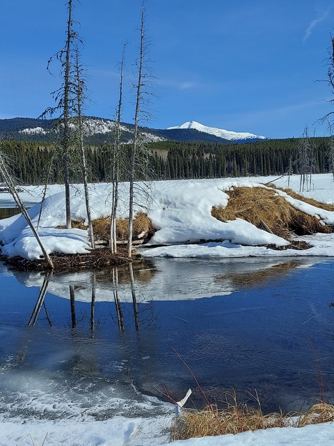 Snow-covered landscape with trees and a river partially frozen.