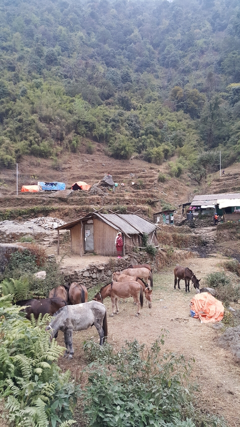 Rustic buildings and terraces in a rural setting.