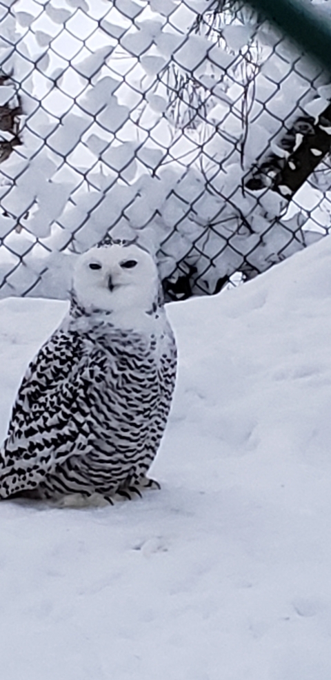       foto de reseña de cliente de Laponia ¡7 días en la ciudad de Papá Noel en el Círculo Polar Ártico! 
  