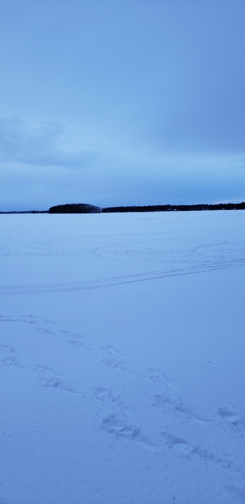       foto de reseña de cliente de Laponia ¡7 días en la ciudad de Papá Noel en el Círculo Polar Ártico! 
  