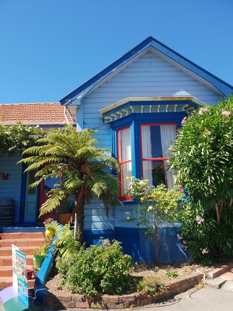 Brightly colored wooden house with decorative plants