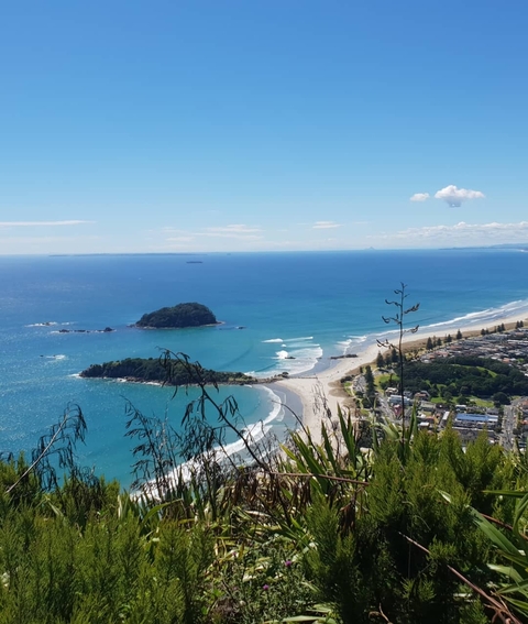 Elevated view of a curving beach and blue sea