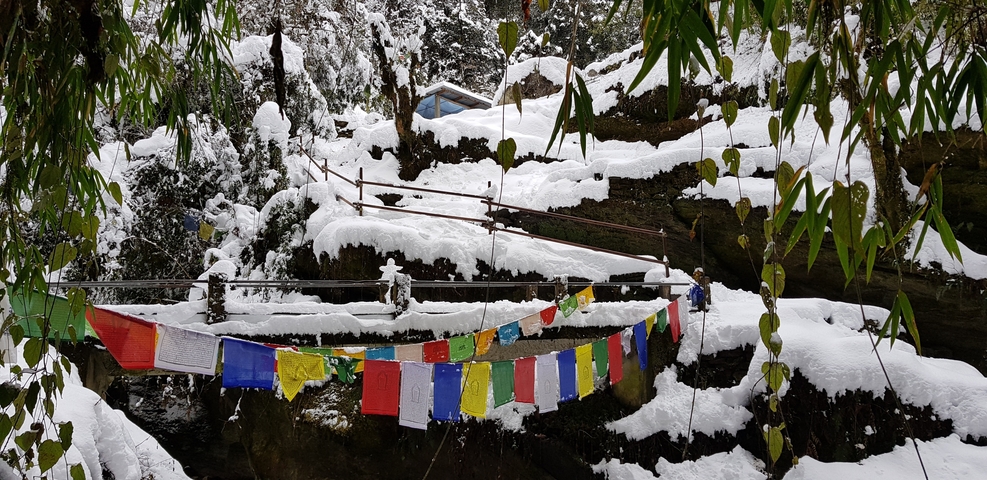       Snow-covered landscape with colorful flags and trees.
  