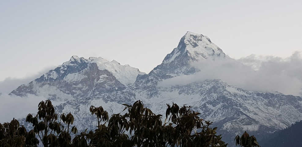       Snow-covered mountain peaks with trees in foreground.
  