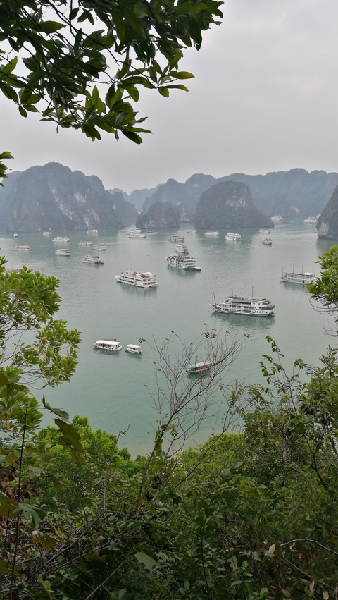       Numerous boats in a picturesque bay surrounded by limestone karsts.
  