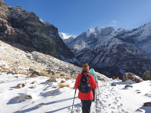       Hikers walking toward snowy mountains.
  