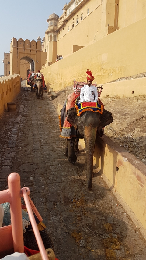 Person riding an elephant on a cobblestone path.