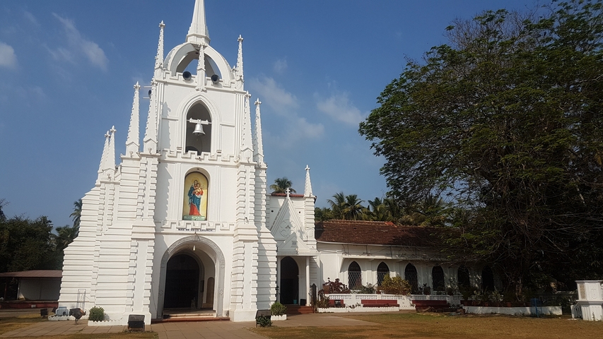 White church surrounded by trees.