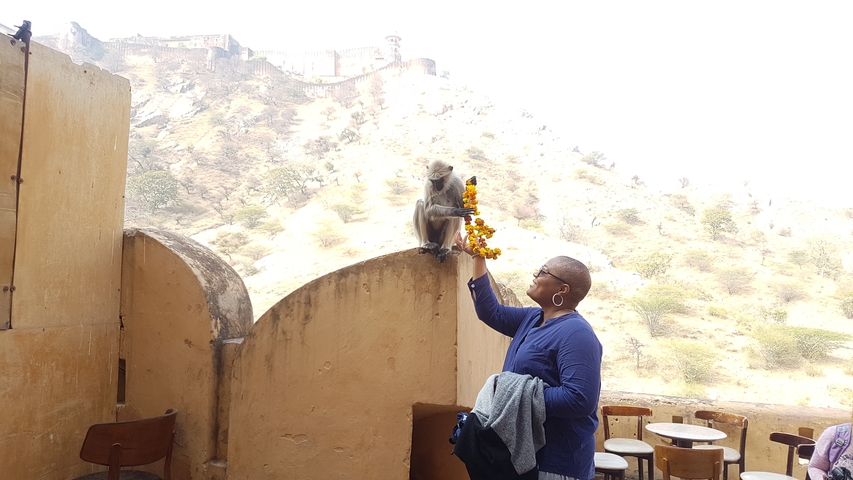 Person feeding a monkey on a natural background.