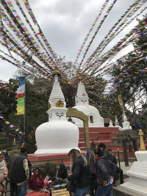       Colorful prayer flags and stupas in a lush courtyard.
  
