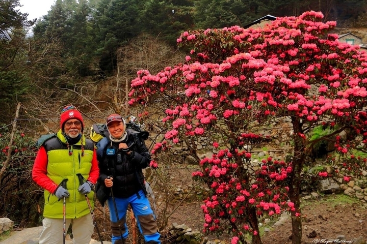 Klantbeoordelingsfoto van Everest Base Camp Trek - Privé opties beschikbaar 