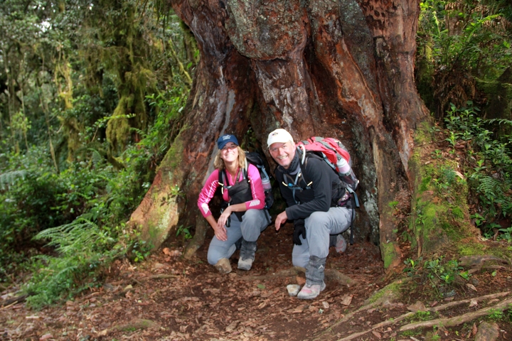       Two hikers by a large tree trunk
  