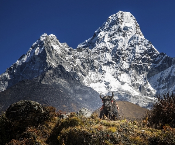 Klantbeoordelingsfoto van Everest Base Camp Trek - Privé opties beschikbaar 