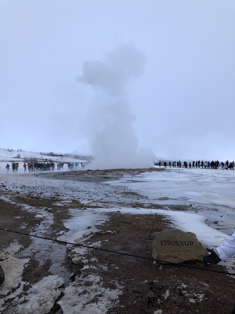       Geyser eruption with people watching
  