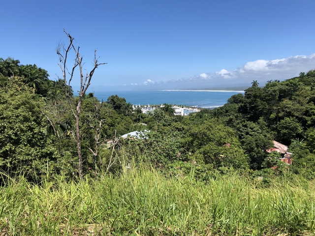 Panoramic view of the ocean and coastline with lush greenery.