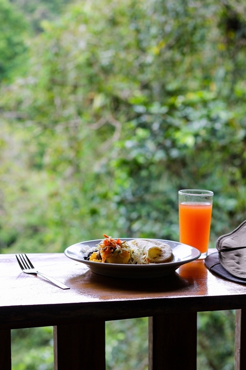 Plate of food with an orange drink in a forest setting.